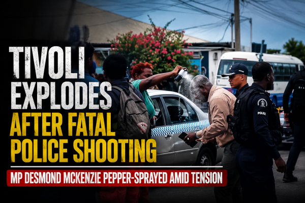 Mp Desmond Mckenzie pepper sprayed by police