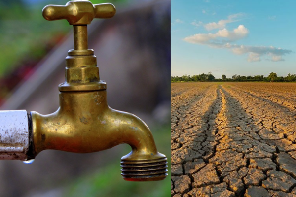 Could El Niño Bring Another Dry Spell to Jamaica? What the Latest Forecasts Are Saying